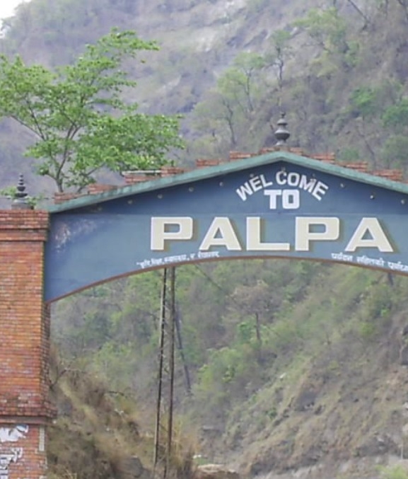 पाल्पामा नसर्ने रोगका बिरामीको सङ्ख्या बढ्दो