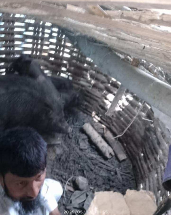 सर्लाहीमा दुई व्यक्तिलाई सुँगुरको खोरमा थुनेर कुटपिट, अन्सारीद्वारा दोषीमाथि कडा कारबाहीको माग