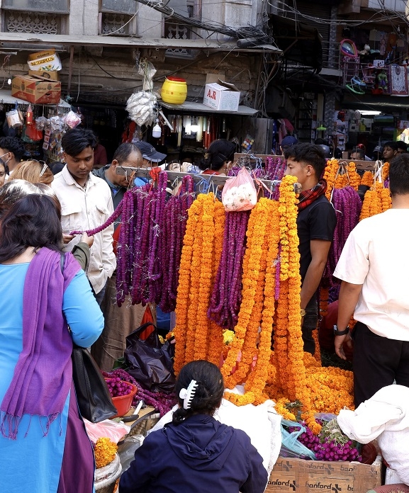 सयपत्री र मखमलीमा आत्मनिर्भर, ९ अर्ब लगानी