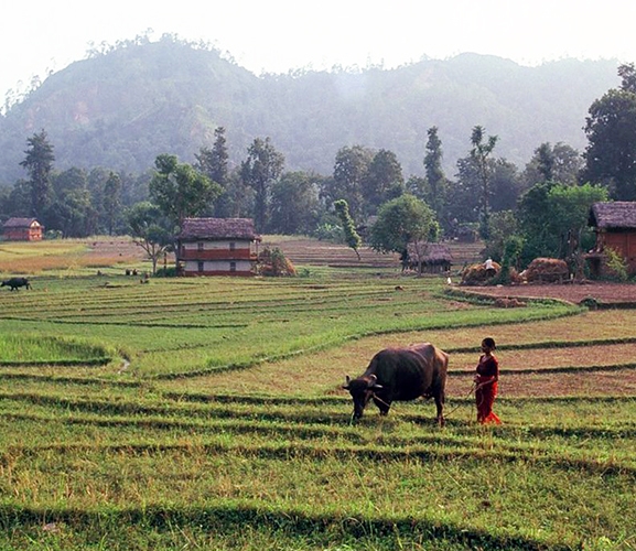 वास्तविक किसानलाई छैन अनुदान