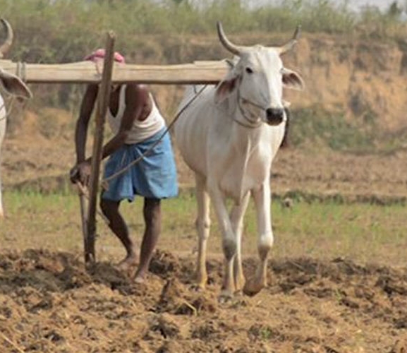 अठार लाख किसान सूचीकृत, विद्युतीय प्रणालीमार्फत सुविधा दिने तयारी