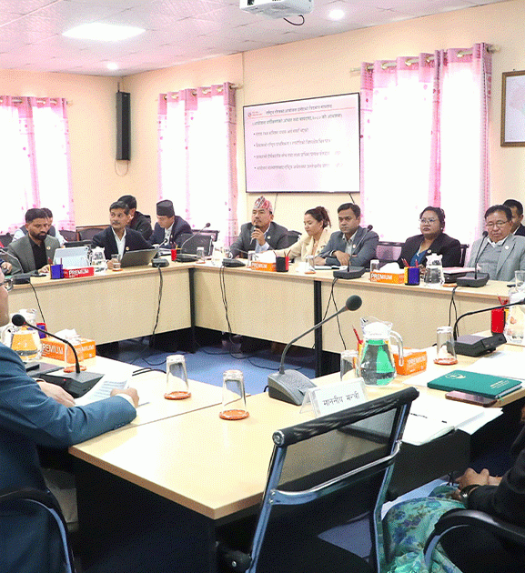 राष्ट्रिय गौरवका आयोजनाको अवस्था अध्ययन गर्न संसदीय उपसमिति गठन