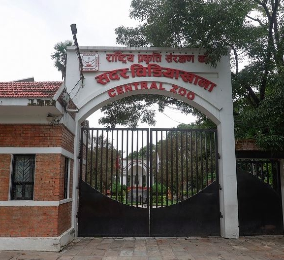 बर्डफ्लु संक्रमण लुकाएको आरोपमा चिडियाखाना प्रमुख साह छानबिनमा