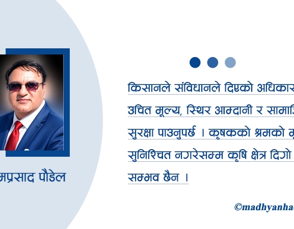 आलु किसानको पीडा र समाधान