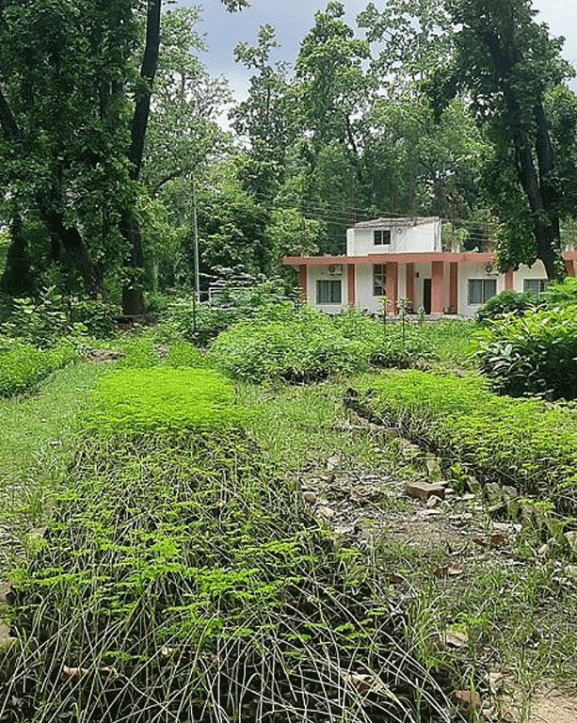 जडीबुटीका बिरुवासँगै तालिम दिँदै वनस्पति अनुसन्धान केन्द्र
