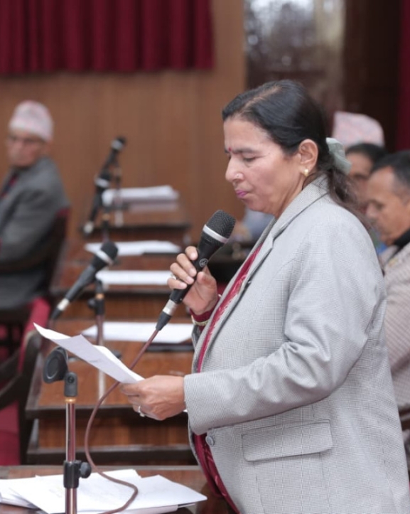 'चुनावी अभियानमा राष्ट्रिय झन्डाको प्रयोग गर्न रोक लगाइयोस्'