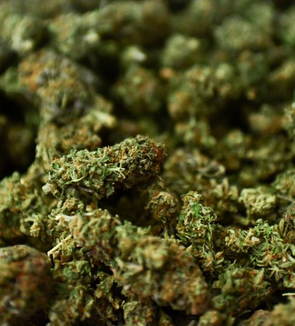 उदयपुरमा गाँजासहित एक जना पक्राउ