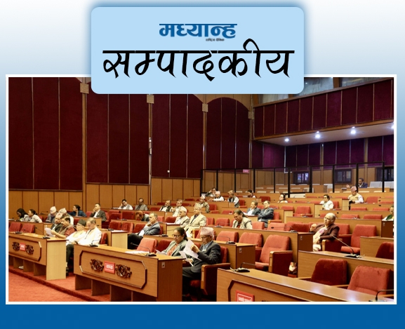 भूमिका देखाउँदै राष्ट्रिय सभा