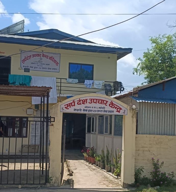 गर्मी र वर्षाले बढ्यो सर्पको बिगबिगी