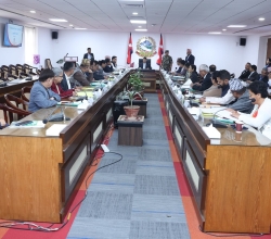 मेडिकल कलेजको सिट संख्या र शुल्क पुनरावलोकनका लागि कार्यदल गठन
