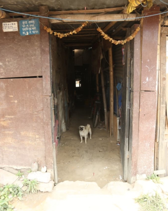 थापाथलीमा आँसु र अनिश्चितताको बिदाइ : बस्ती खाली गरिँदै (तस्बिरहरू)