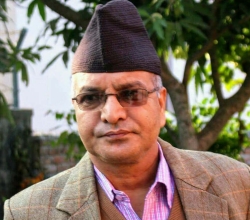 हरि तिमिल्सिना