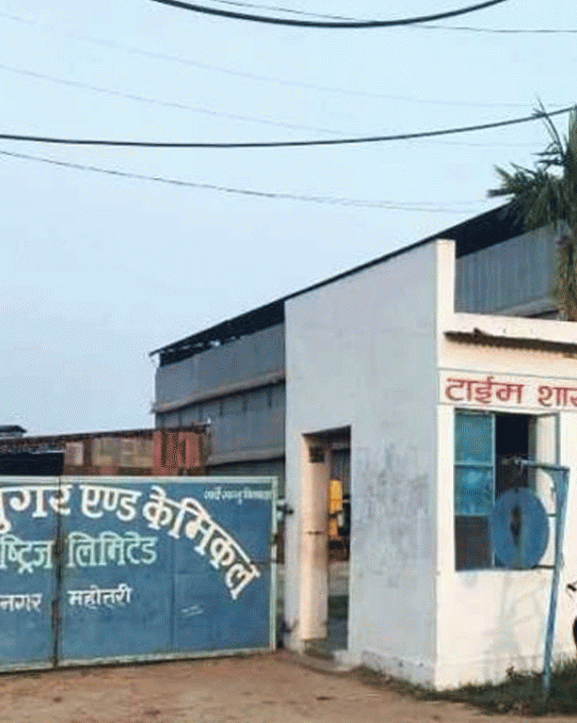 एभरेष्ट चिनी उद्योगमा उखु क्रसिङ सुरु