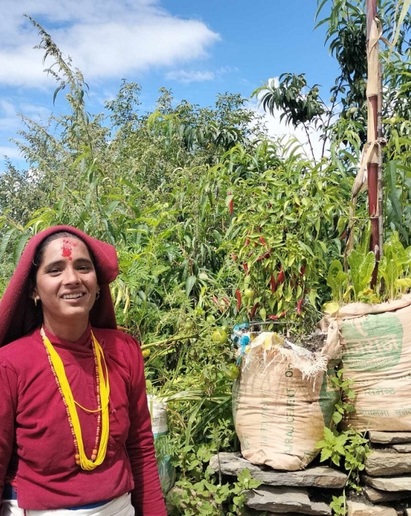 खाली बोरामा उत्पादन गरेको तरकारीले घर खर्च चलाउँदै धनलक्ष्मी 