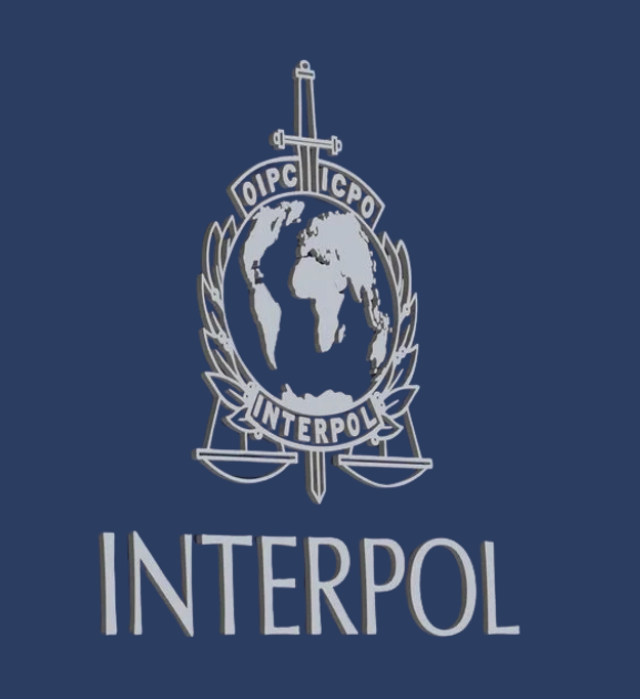 इन्टरपोलको अध्यक्षमा फ्रान्सेली प्रहरी नियन्त्रक नियुक्त