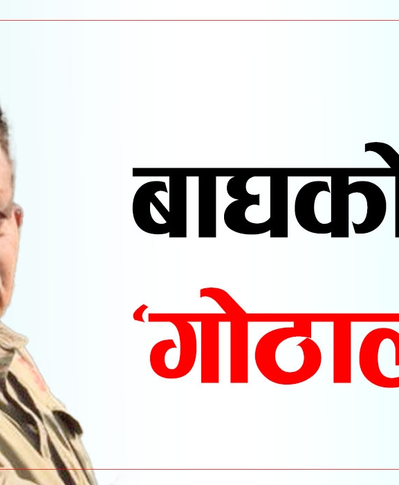 बाघका ‘गोठाला’  