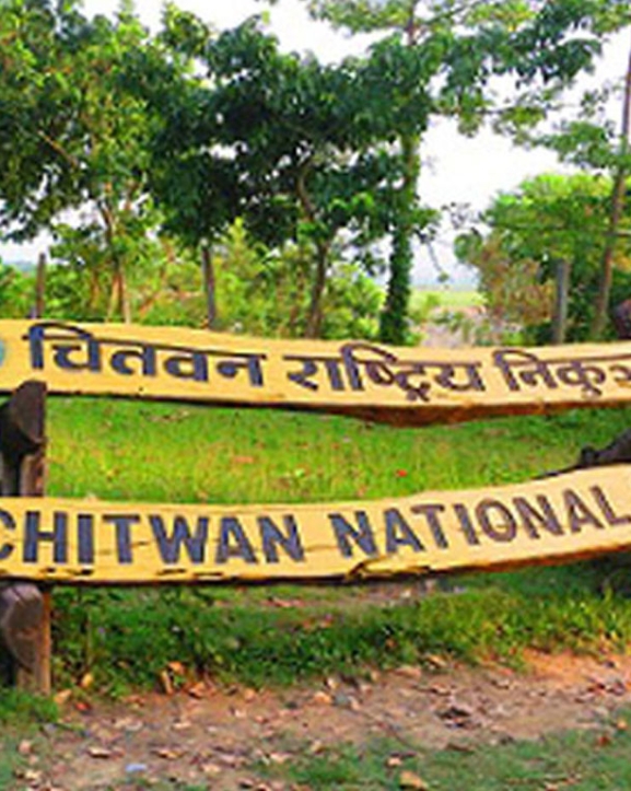 निकुञ्ज घुम्न आउने आन्तरिक पर्यटक बढे
