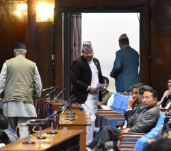 'भिजिट भिसा प्रकरण कुनै दल विशेषको मुद्दा होइन, सबै एकजुट बनौैं'