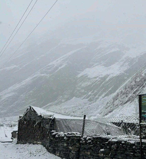 उत्तरी गोरखामा हिमपात हुँदा मनास्लु क्षेत्र भ्रमणमा गएका पर्यटक प्रभावित