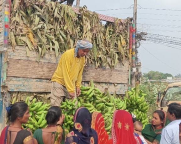 छठ पर्व नजिकिँदै गर्दा सिरहामा केराको मूल्यमा भारी वृद्धि