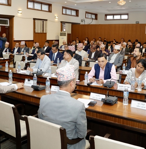 सार्वजनिक लेखा समितिको बैठकमा सचिवहरूले के भने ?
