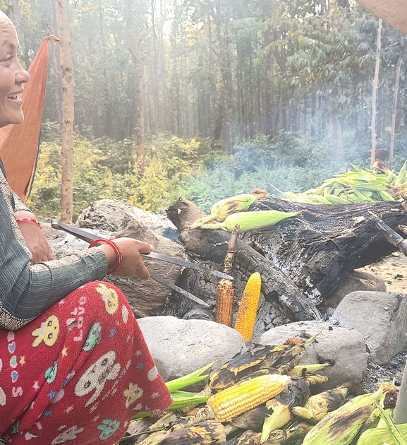 भाउन्नेमा पोलेको मकैको व्यापार फस्टाउँदै