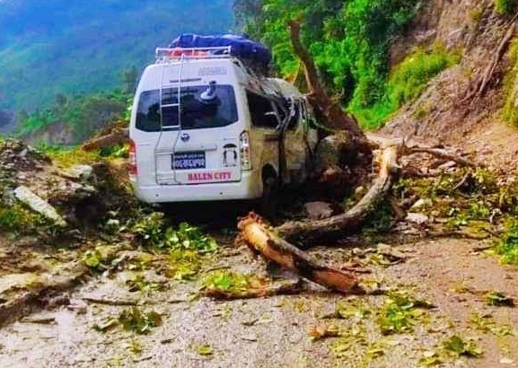 अपडेट : गुडिरहेको माइक्रो बसमाथि रुख ढल्दा नौ यात्रु घाइते