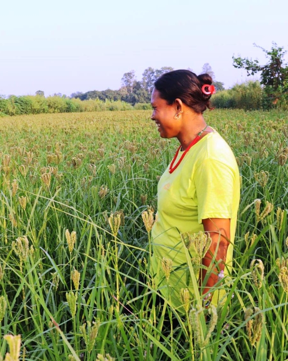 व्यवसायिक कोदो खेतीमा किसान आकर्षित