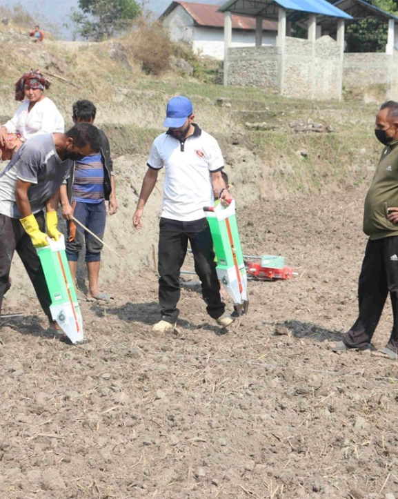 सामूहिक मकै खेती गर्दै ताप्लेजुङका किसान