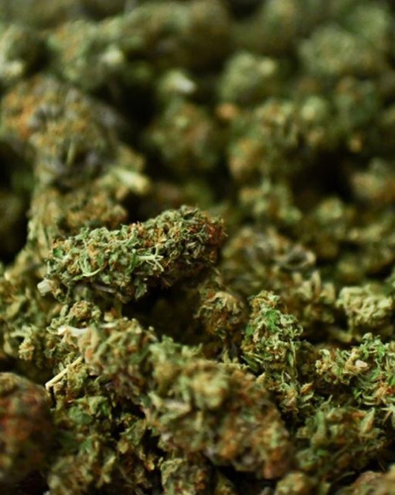 एम्बुलेन्सबाट ५१ किलो गाँजा बरामद