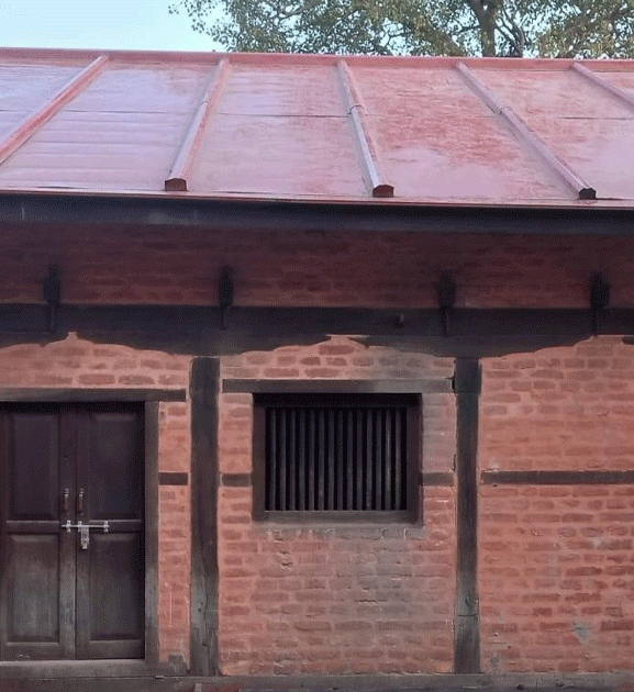 साँघुरा ढोकाले थापाथलीका चार अखडामा गाई पाल्न समस्या