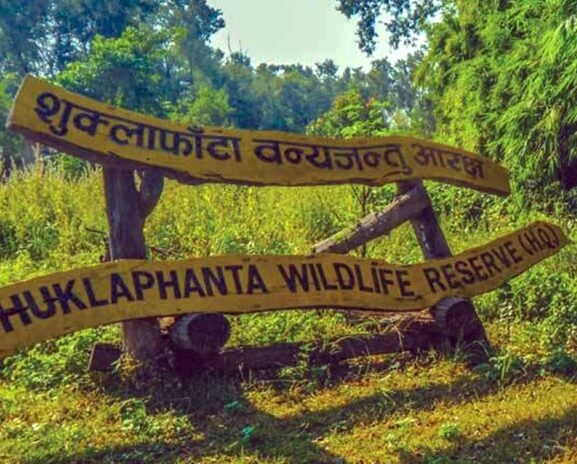 शुक्लाफाँटामा जङ्गल सफारी खुला