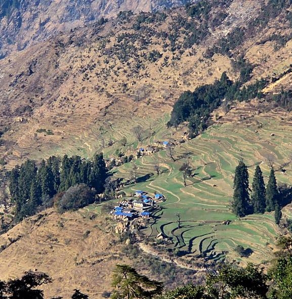 बड्डी ज्यावन : आस्था, इतिहास र रहस्यको संगम