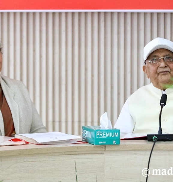 ११ वर्षपछि एमाले बैठकमा विद्यादेवी भण्डारी