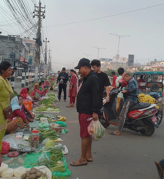 थारू महिलाको पौरख : नेपालगञ्जलाई अर्गानिक स्वाद