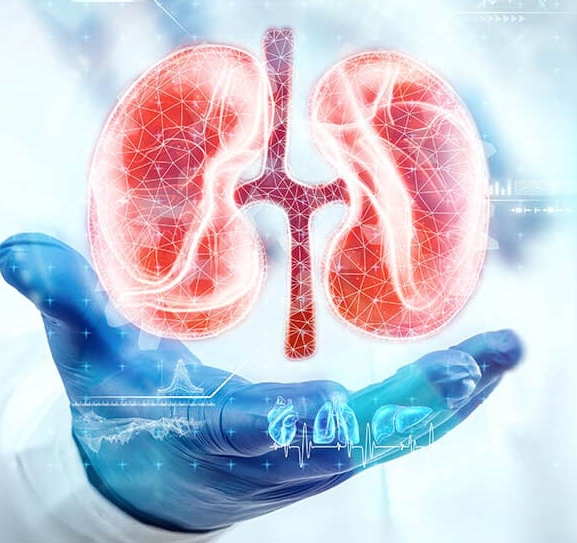अस्वस्थ जीवनशैलीले बढ्दै छ मिर्गौला फेल