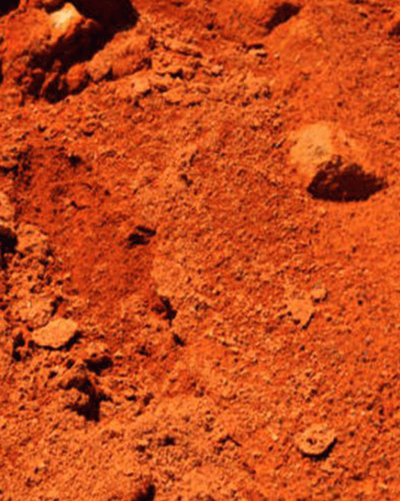 माटो बेचेर दसैँ खर्चको जोहो