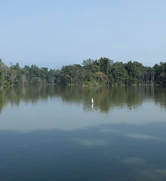 समन्वयबिना ठेक्का दिँदा घोडाघोडी तालका विषयमा विवाद