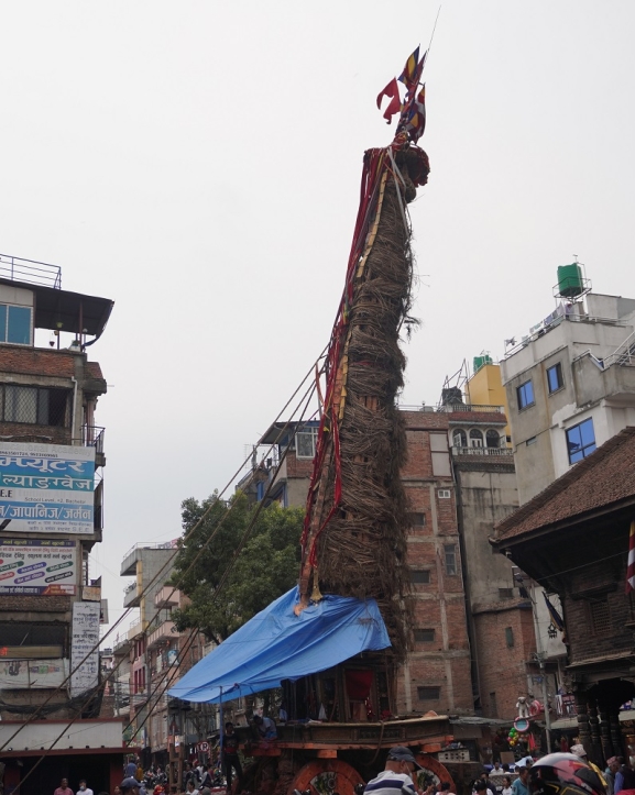 रातो मच्छिन्द्रनाथ रथयात्रा साउन १७ मा