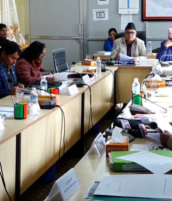 संसदीय समितिले भन्योः अध्यागमनका कर्मचारी गैरजिम्मेवार