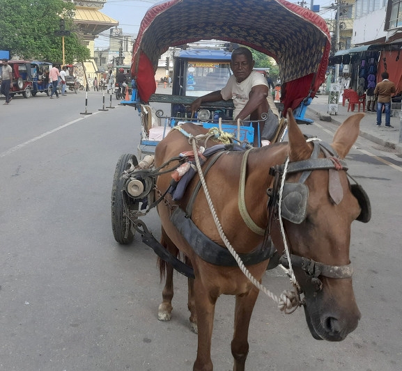 टाँगाले वीरगञ्जको ट्राफिक व्यवस्थापनमा चुनौती थप्दै