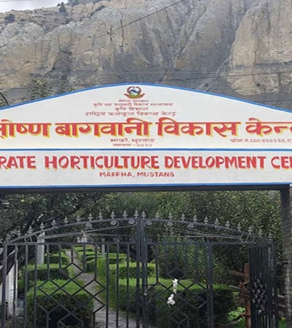 मुस्ताङमा फूलफूलखेती सिक्दै १४ जिल्लाका किसान