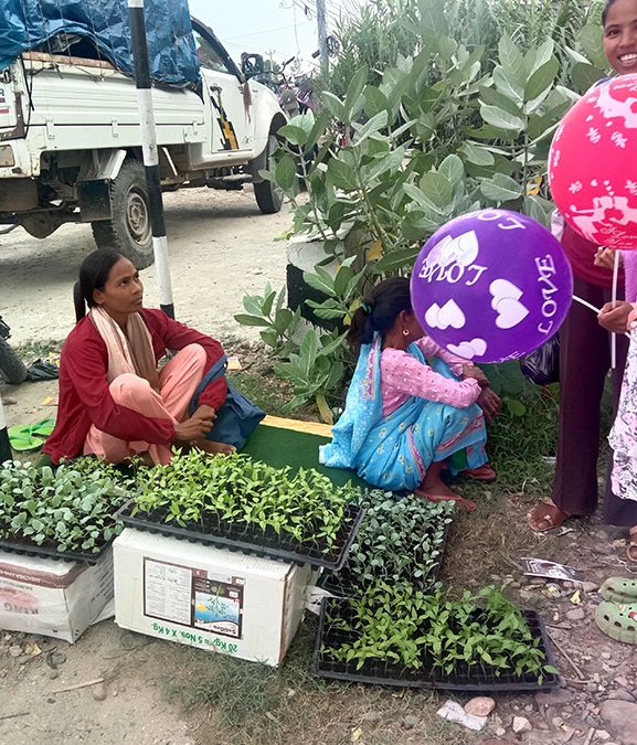 सागसब्जीका बेर्ना बेचेरै लाखौं कमाइ