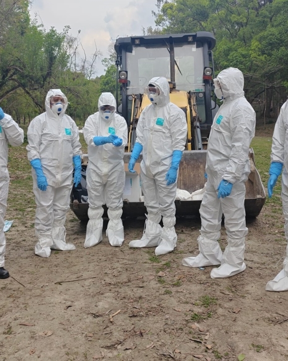 त्रिवि परिसरमा थप ५० मृत काग फेला, आज टौदहवरपर अध्ययन गरिने