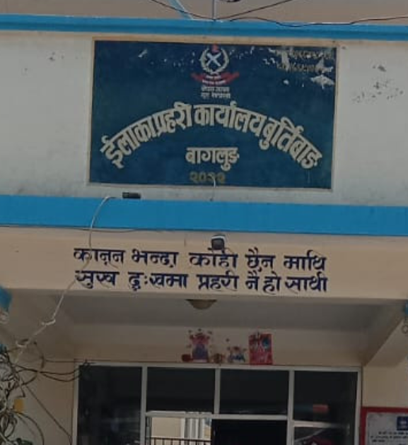 १३ थान भरुवा बन्दुक बरामद