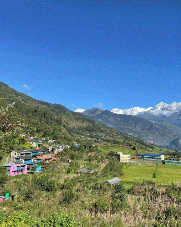 तोरी पानीका पाँच घरमा ‘होमस्टे’ सञ्चालन