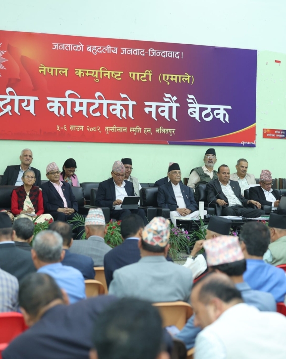 एमाले केन्द्रीय कमिटी बैठक : विद्या भण्डारीको सक्रिय राजनीतिक यात्रामा ब्रेक, यस्तो छ ८ बुँदे प्रस्ताव