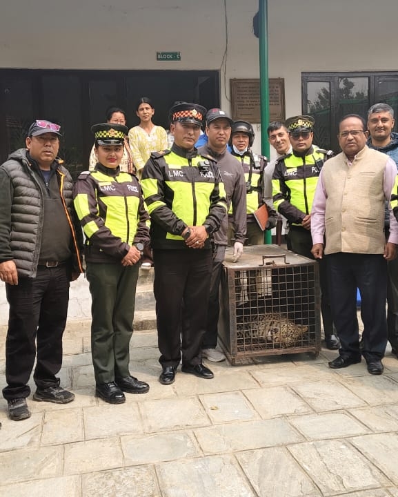 ललितपुरबाट चितुवाको उद्धार