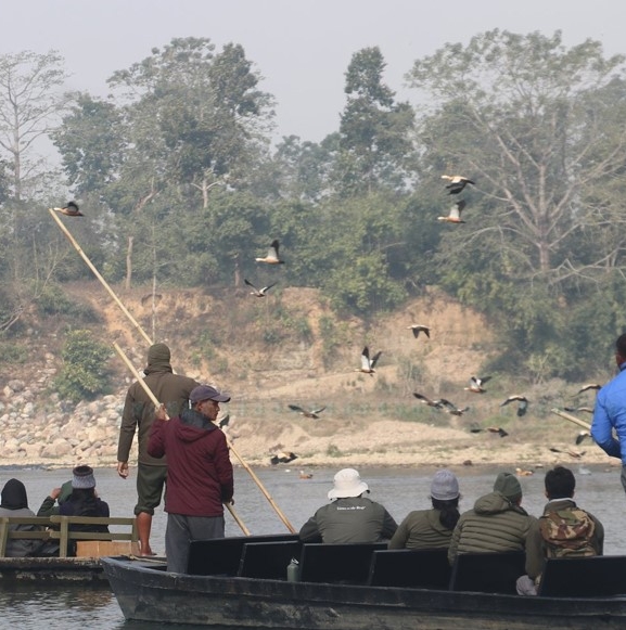 चितवनमा जलपन्क्षी गणना गर्न ५३ गणक खटिए