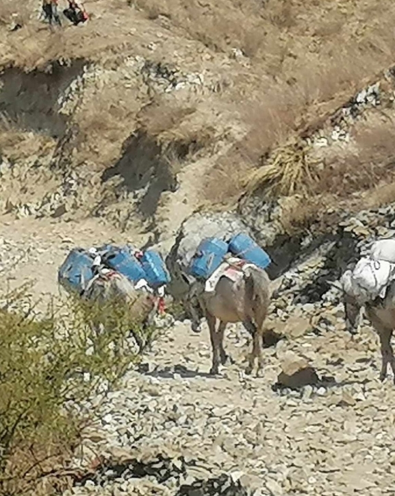 पेट्रोलियम पदार्थको मूल्य घटेपनि हुम्लामा घट्दैन यातायातको भाडा